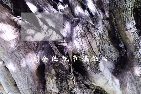 安全法规节课论文 安全法规节课论文
