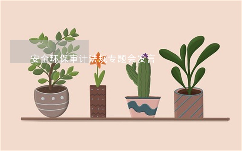 安全环保审计法规专题会发言 安全环保审计法规专题会发言