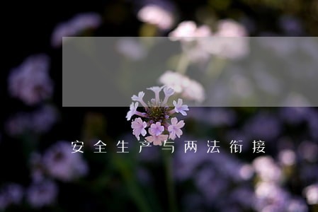 安全生产与两法衔接