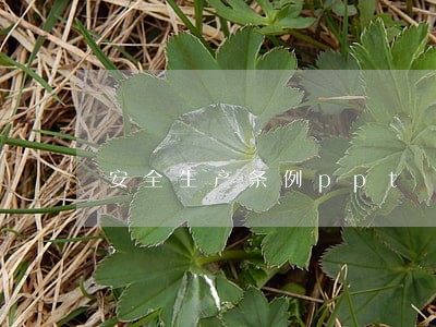 安全生产条例ppt 安全生产条例ppt