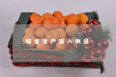 安全生产法入刑法 安全生产法入刑法
