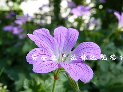 安全生产法律法规培训全部资料 安全生产法律法规培训全部资料