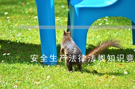 安全生产法律法规知识竞答试题 安全生产法律法规知识竞答试题