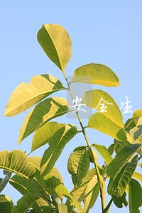 安全生产法规安全用电行为