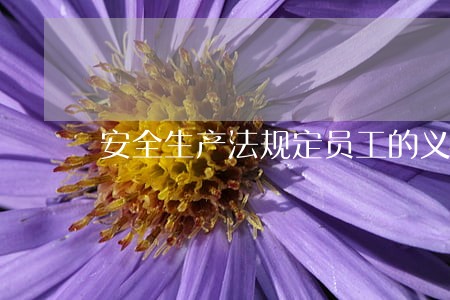 安全生产法规定员工的义务包括哪些 安全生产法规定员工的义务包括哪些