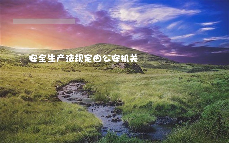 安全生产法规定由公安机关 安全生产法规定由公安机关