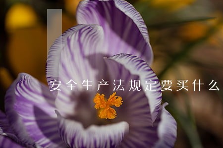 安全生产法规定要买什么保险 安全生产法规定要买什么保险