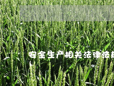 安全生产相关法律法规题库汇总 安全生产相关法律法规题库汇总