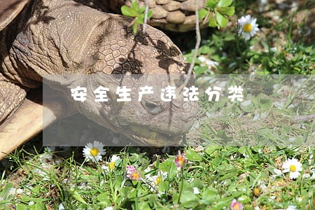 安全生产违法分类 安全生产违法分类