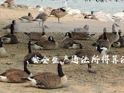 安全生产违法所得算法