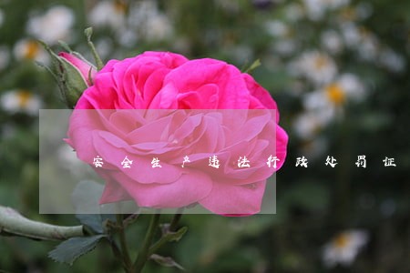 安全生产违法行政处罚证据