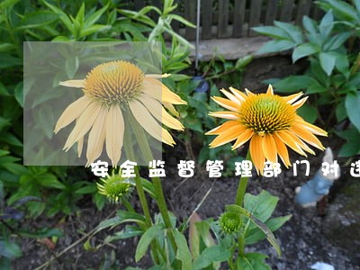 安全监督管理部门对违法生产