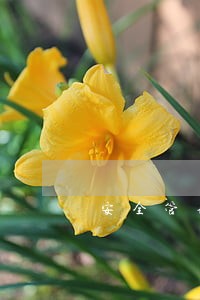 安全管理法规文件大全