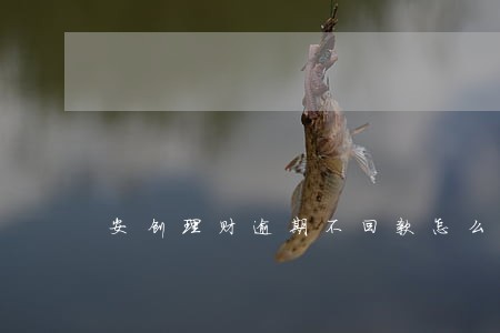 安创理财逾期不回款怎么办 安创理财逾期不回款怎么办