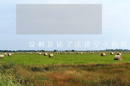 安利是钻了法律空子的传销吗 安利是钻了法律空子的传销吗