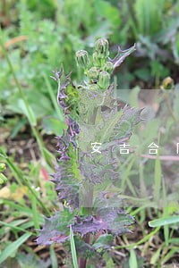 安吉合同纠纷律师 安吉合同纠纷律师