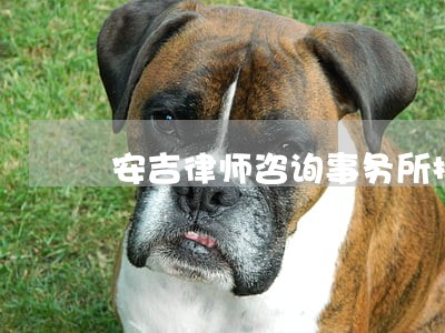安吉律师咨询事务所排名 安吉律师咨询事务所排名
