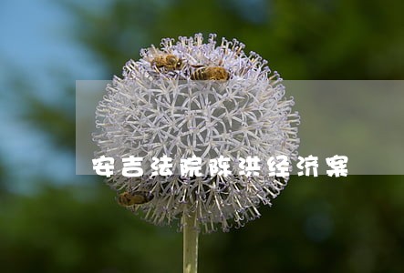 安吉法院陈洪经济案 安吉法院陈洪经济案