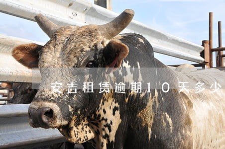 安吉租赁逾期10天多少处罚