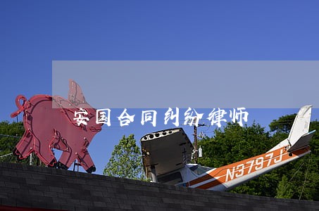 安国合同纠纷律师