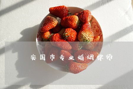 安国市专业婚姻律师 安国市专业婚姻律师