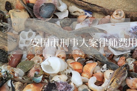 安国市刑事大案律师费用 安国市刑事大案律师费用