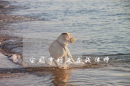 安国市行政在线律师 安国市行政在线律师