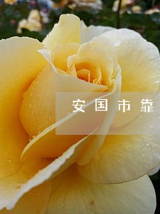 安国市靠谱的律师 安国市靠谱的律师
