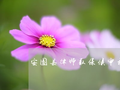 安图县律师取保候审程序 安图县律师取保候审程序