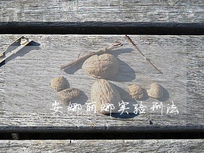 安娜丽娜实验刑法