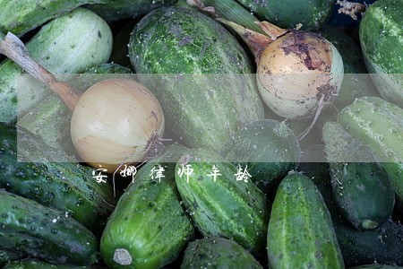 安娜律师年龄