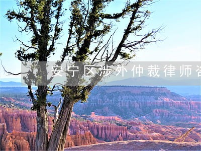安宁区涉外仲裁律师咨询电话