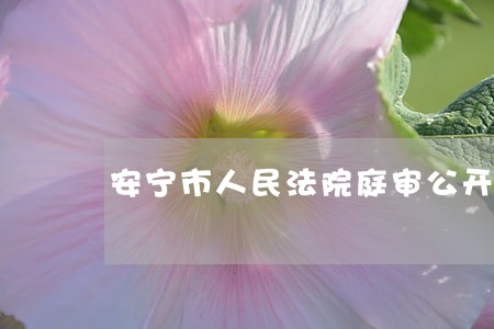 安宁市人民法院庭审公开网
