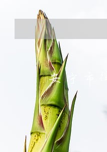安宁市律师事务所咨询 安宁市律师事务所咨询