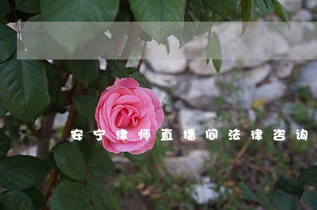 安宁律师直播间法律咨询 安宁律师直播间法律咨询