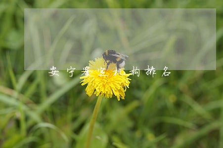 安宁鉴定机构排名 安宁鉴定机构排名