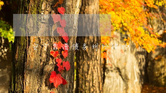 安宁靠谱债务纠纷律师 安宁靠谱债务纠纷律师