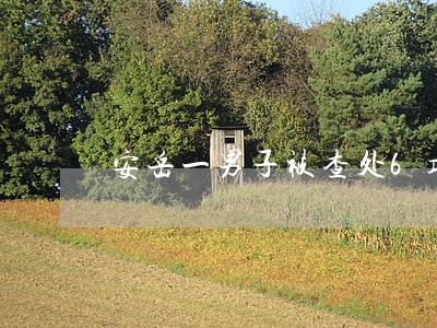 安岳一男子被查处6项违法
