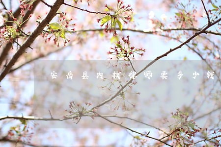 安岳县内找律师要多少钱 安岳县内找律师要多少钱