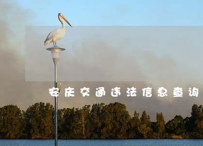 安庆交通违法信息查询