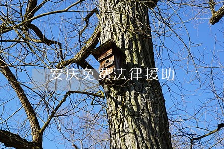 安庆免费法律援助 安庆免费法律援助