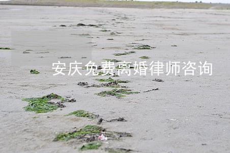 安庆免费离婚律师咨询 安庆免费离婚律师咨询