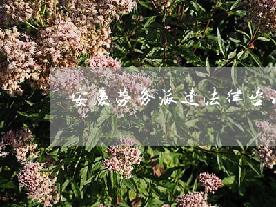 安庆劳务派遣法律咨询 安庆劳务派遣法律咨询