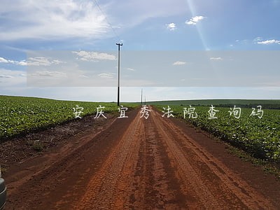 安庆宜秀法院查询码 安庆宜秀法院查询码