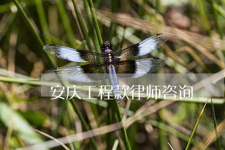 安庆工程款律师咨询 安庆工程款律师咨询