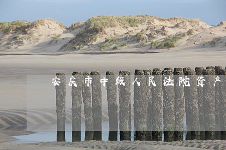 安庆市中级人民法院资产诉讼网