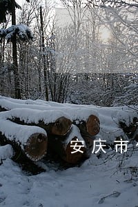 安庆市住建委法律顾问潘