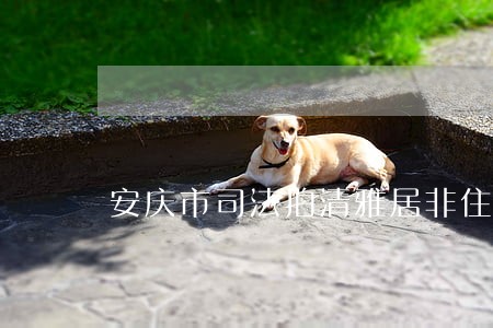 安庆市司法拍清雅居非住宅