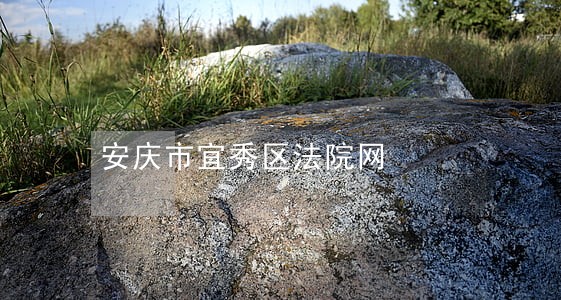 安庆市宜秀区法院网 安庆市宜秀区法院网