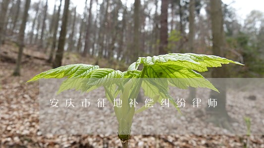 安庆市征地补偿纠纷律师 安庆市征地补偿纠纷律师